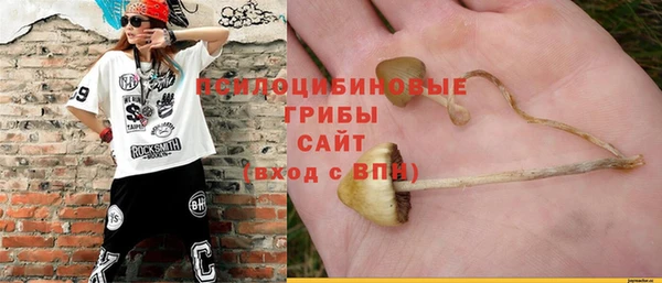 гидропоника Верхний Тагил