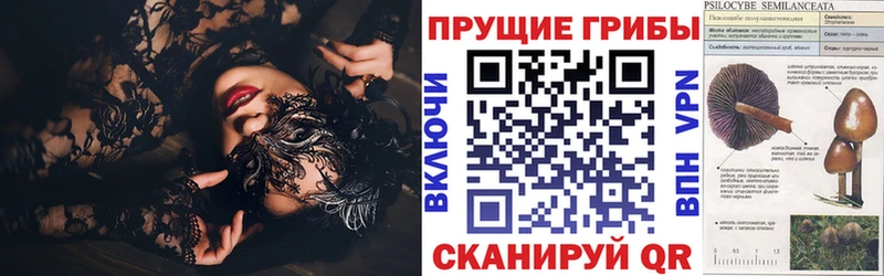 Псилоцибиновые грибы Cubensis  MEGA рабочий сайт  Ноябрьск 